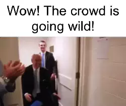 Wow! The crowd is going wild! meme