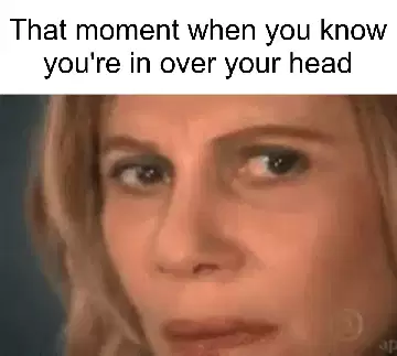 That moment when you know you're in over your head meme