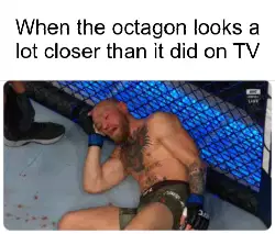 When the octagon looks a lot closer than it did on TV meme