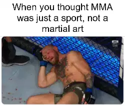 When you thought MMA was just a sport, not a martial art meme