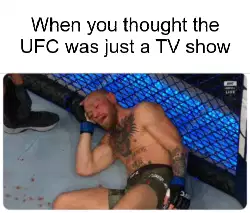 When you thought the UFC was just a TV show meme