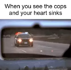 When you see the cops and your heart sinks meme