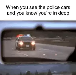 When you see the police cars and you know you're in deep meme