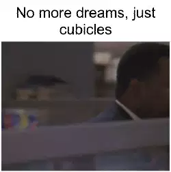 No more dreams, just cubicles meme