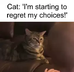 Cat: 'I'm starting to regret my choices!' meme