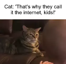 Cat: 'That's why they call it the internet, kids!' meme