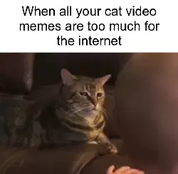 When all your cat video memes are too much for the internet meme