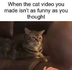 When the cat video you made isn't as funny as you thought meme