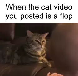 When the cat video you posted is a flop meme