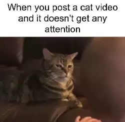 When you post a cat video and it doesn't get any attention meme