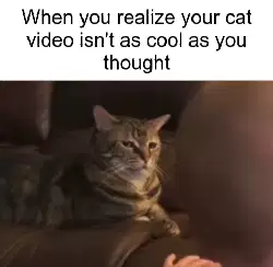 When you realize your cat video isn't as cool as you thought meme