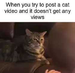 When you try to post a cat video and it doesn't get any views meme