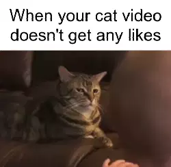 When your cat video doesn't get any likes meme