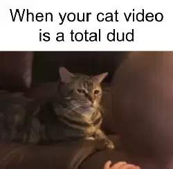 When your cat video is a total dud meme