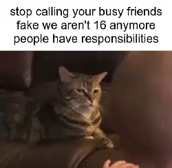 stop calling your busy friends fake we aren't 16 anymore people have responsibilities meme