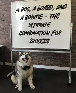 A dog, a board, and a bowtie - the ultimate combination for success meme
