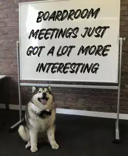 Boardroom meetings just got a lot more interesting meme
