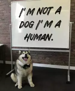 I'm not a dog I'm a human. meme