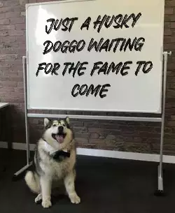 Just a Husky Doggo waiting for the fame to come meme