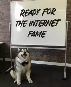 Ready for the internet fame meme