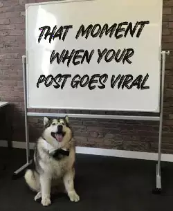 That moment when your post goes viral meme