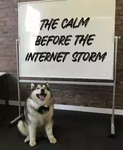 The calm before the internet storm meme