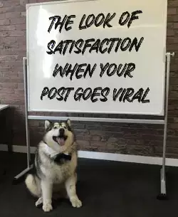 The look of satisfaction when your post goes viral meme