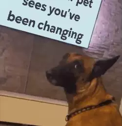 When your pet sees you've been changing meme