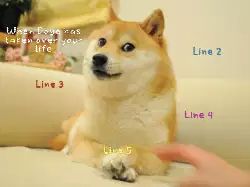 When Doge has taken over your life meme