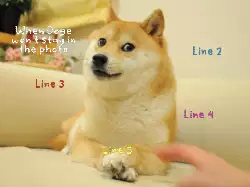 When Doge won't stay in the photo meme