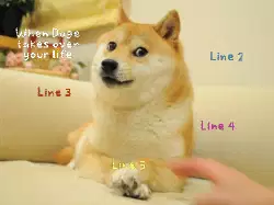 When Doge takes over your life meme