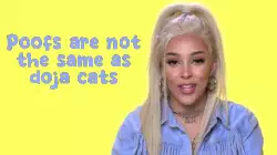 Poofs are not the same as doja cats meme