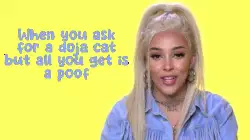 When you ask for a doja cat but all you get is a poof meme