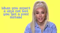 When you expect a doja cat but you get a poof instead meme