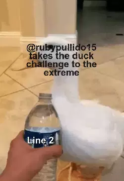 @rubypullido15 takes the duck challenge to the extreme meme