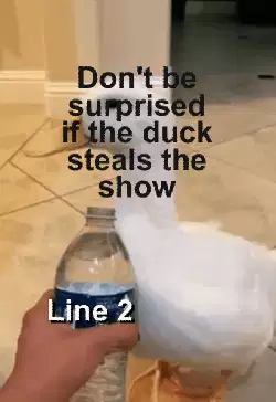 Don't be surprised if the duck steals the show meme