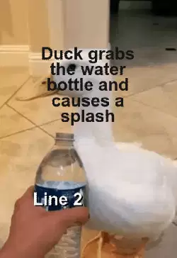 Duck grabs the water bottle and causes a splash meme