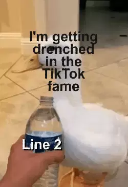 I'm getting drenched in the TikTok fame meme