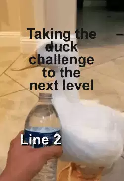 Taking the duck challenge to the next level meme