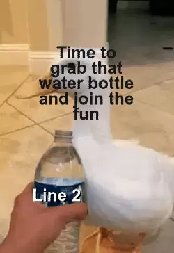 Time to grab that water bottle and join the fun meme