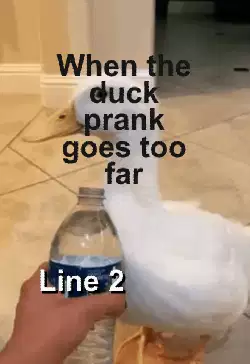 When the duck prank goes too far meme