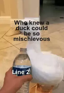 Who knew a duck could be so mischievous meme