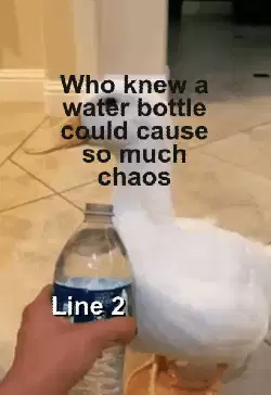 Who knew a water bottle could cause so much chaos meme