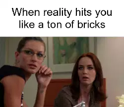 When reality hits you like a ton of bricks meme