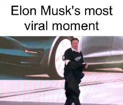 Elon Musk's most viral moment meme