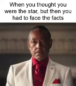 When you thought you were the star, but then you had to face the facts meme