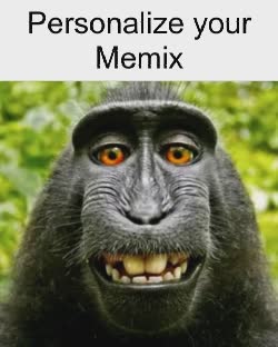 Monkey Puppet Meme, GIF - Share with Memix