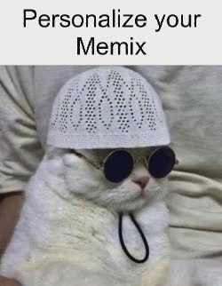 flop-cat-sheikh
