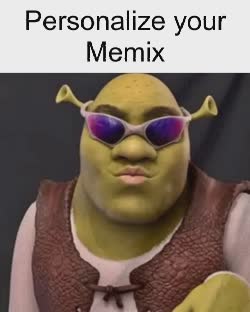 Shrek Weird Face Meme, GIF - Share with Memix