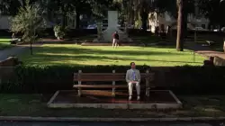 Tom Hanks Reflecting on His Life in the Park meme